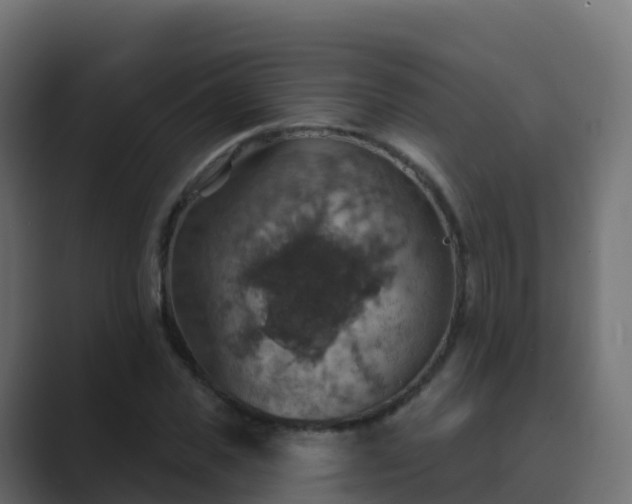 X0000089720925200706281528