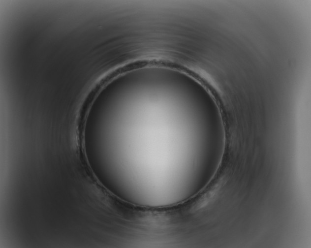 X0000089720927200706281528