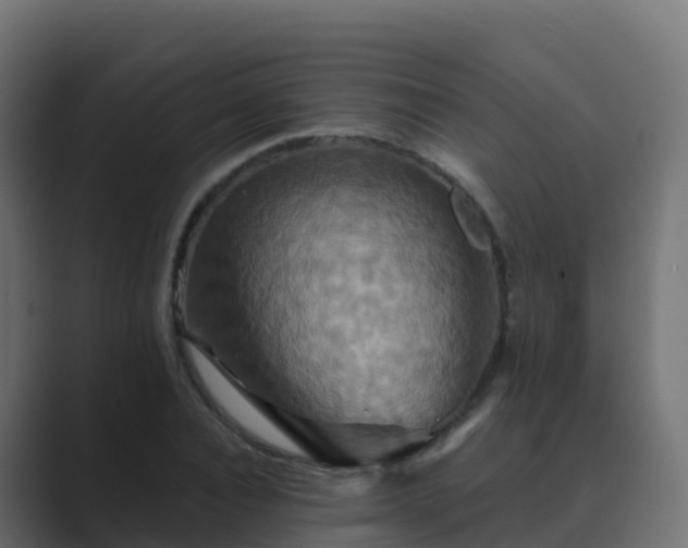 X0000089720928200706281528