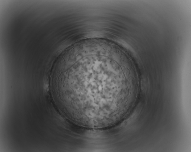 X0000089720929200706281528