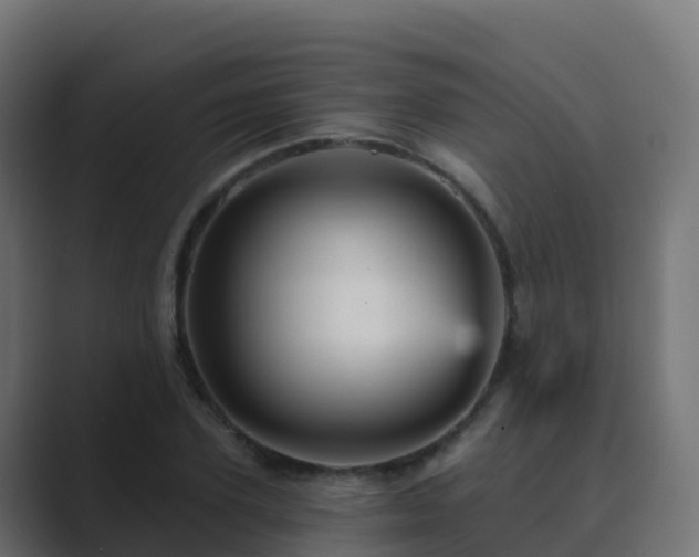 X0000089720931200706281528