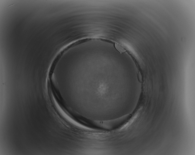 X0000089720932200706281528