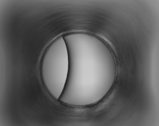 X0000089720933200706281528
