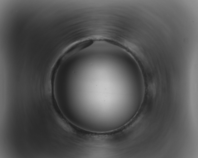 X0000089720934200706281528