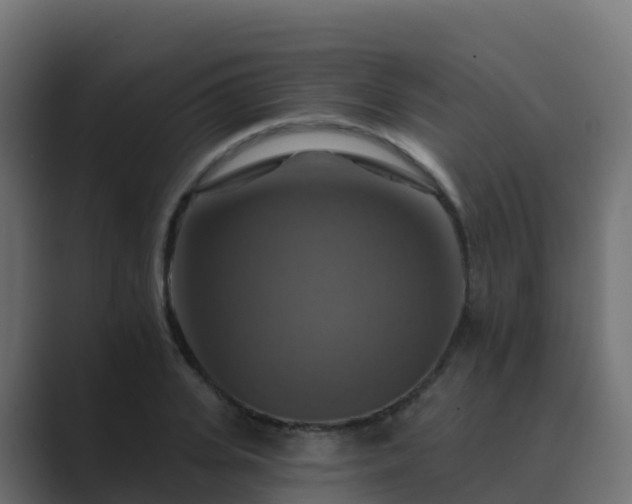 X0000089720935200706281528