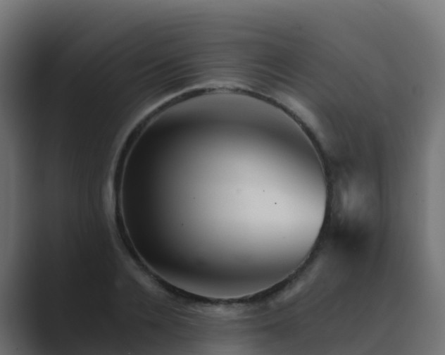 X0000089720936200706281528