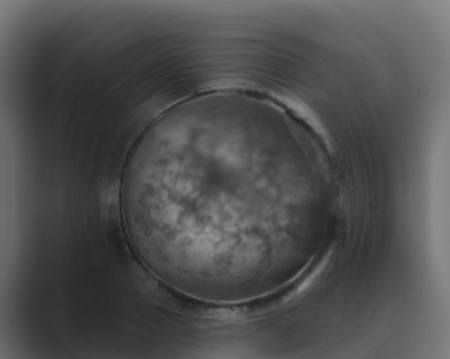 X0000089720937200706281528