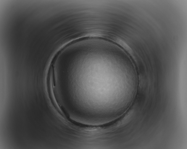X0000089720939200706281528