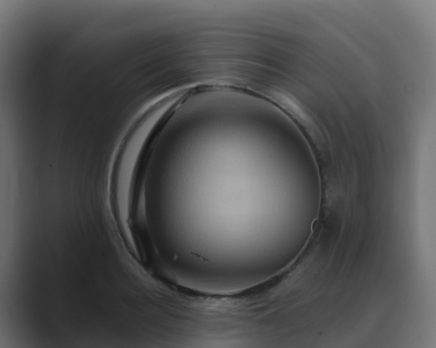 X0000089720940200706281528