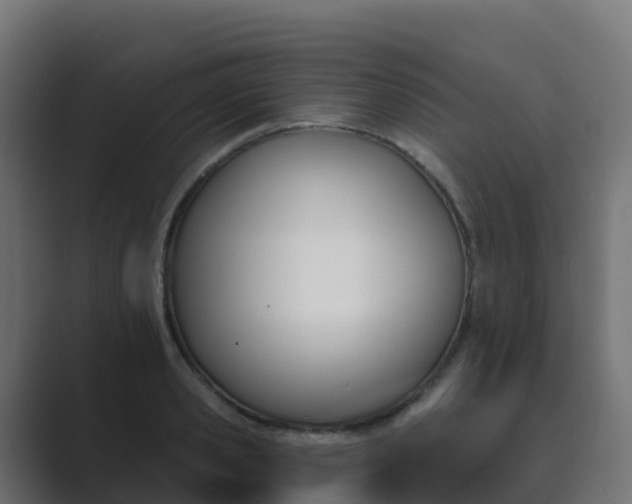 X0000089720941200706281528