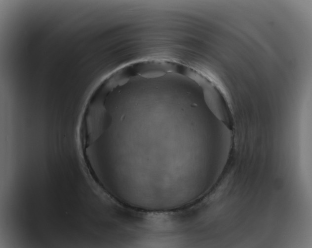 X0000089720944200706281528