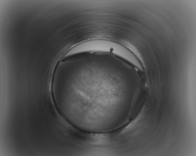 X0000089720946200706281528