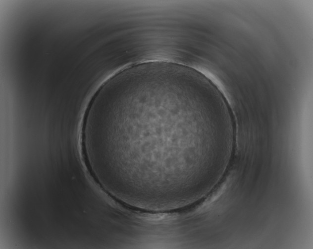 X0000089720949200706281528