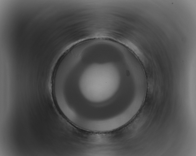 X0000089720950200706281528