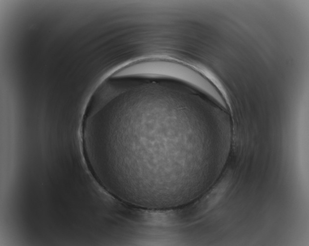 X0000089720951200706281528
