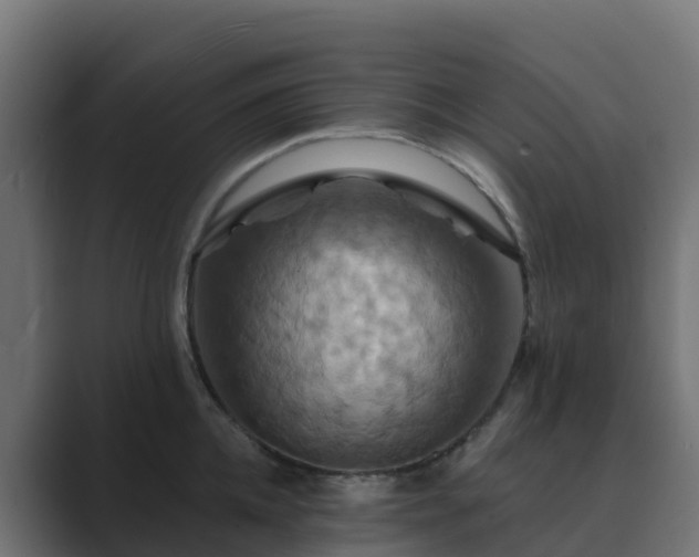 X0000089720952200706281528
