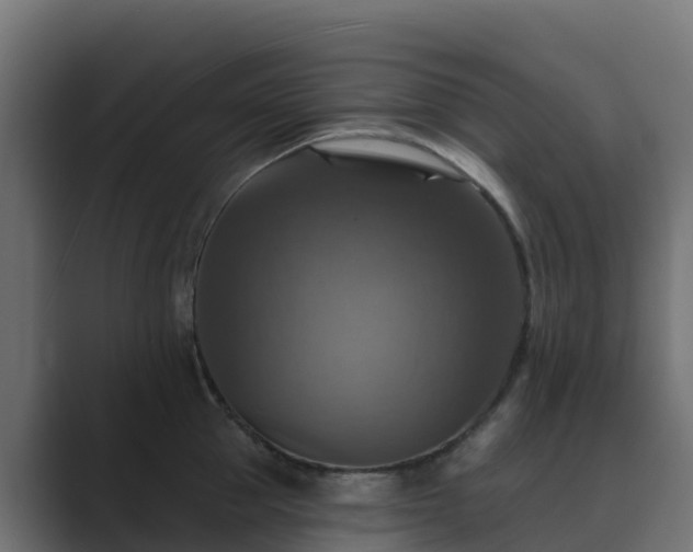 X0000089720953200706281528