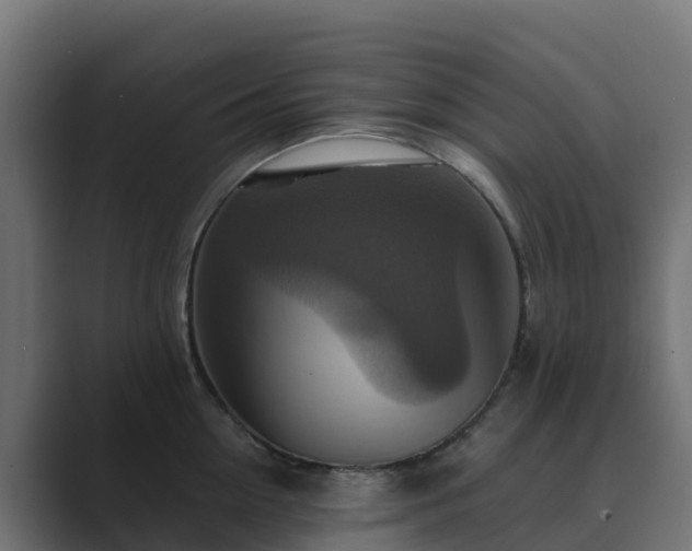 X0000089720954200706281528