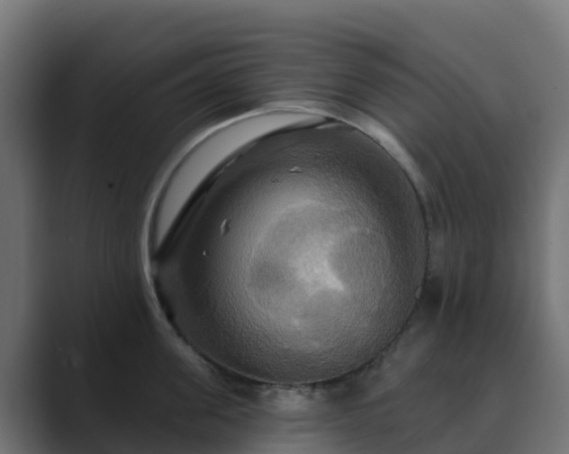 X0000089720955200706281528