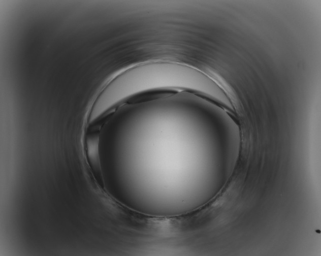 X0000089720956200706281528