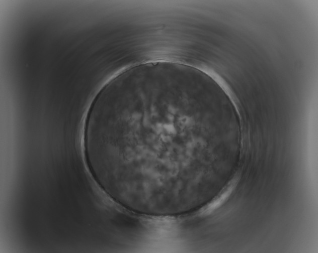 X0000089720957200706281528