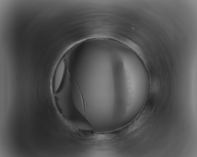 X0000089720958200706281528