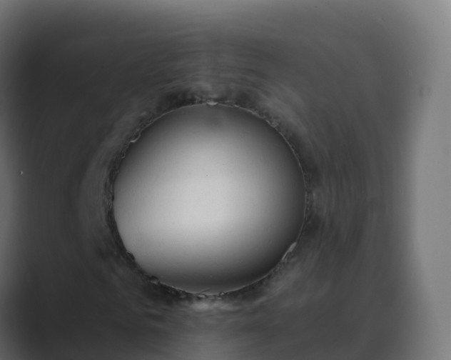 X0000089720961200706281528