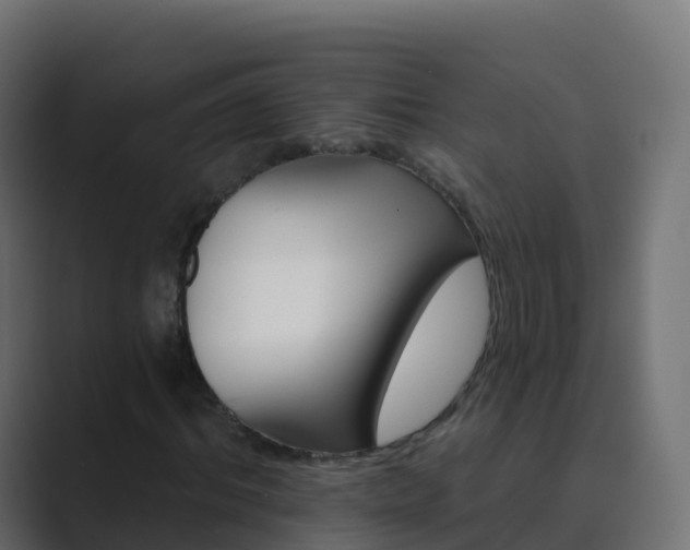 X0000089720964200706281528