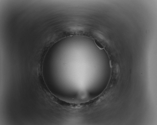 X0000089720965200706281528