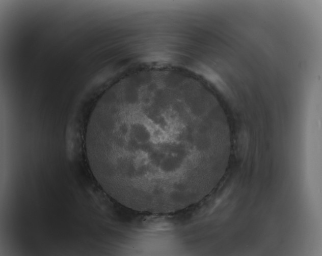 X0000089720967200706281528