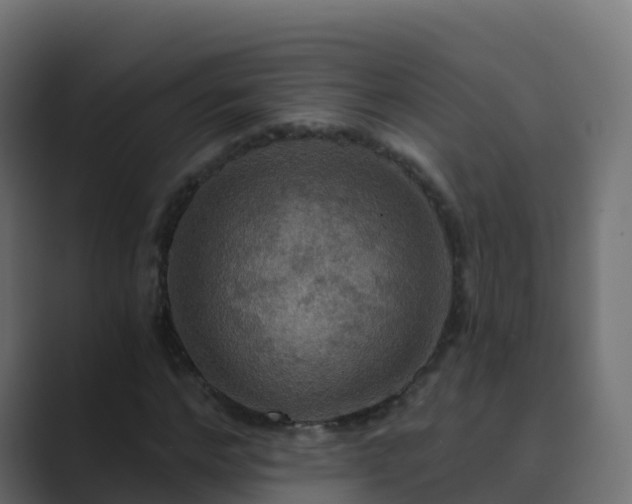 X0000089720968200706281528