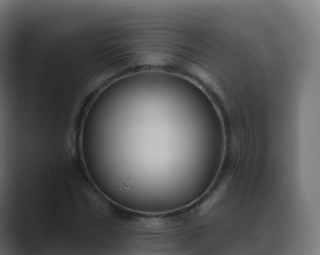 X0000089720970200706281527