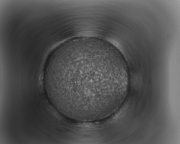 X0000089720971200706281527