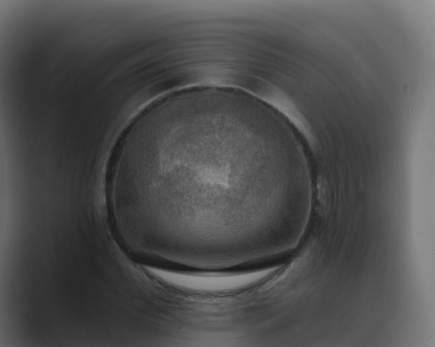 X0000089720972200706281527