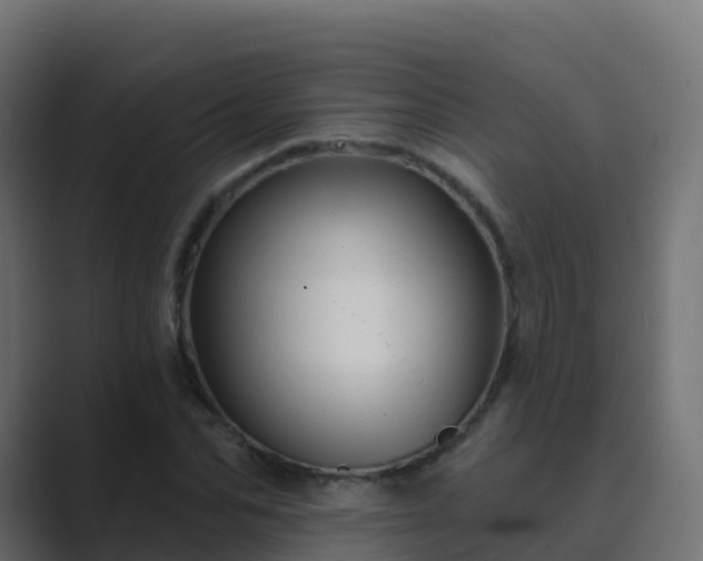 X0000089720974200706281527