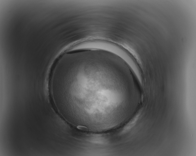 X0000089720976200706281527