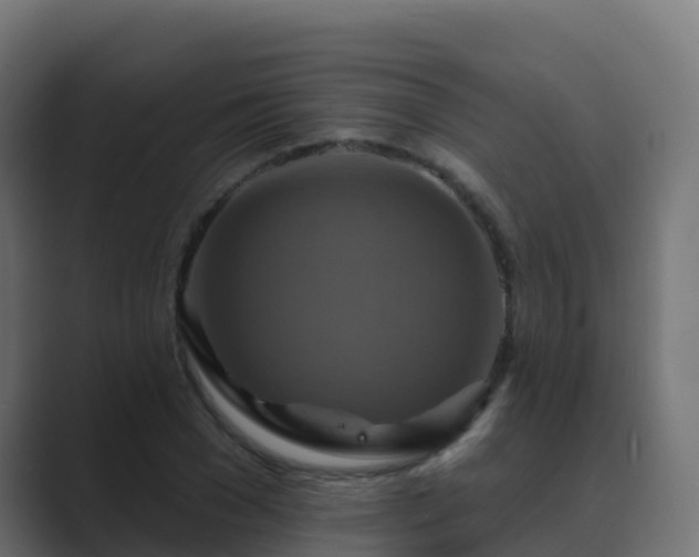 X0000089720977200706281527