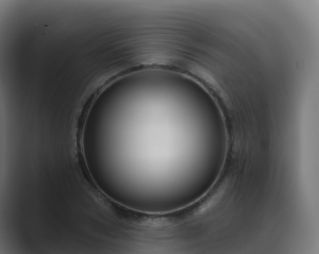 X0000089720978200706281527