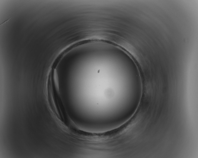X0000089720980200706281527