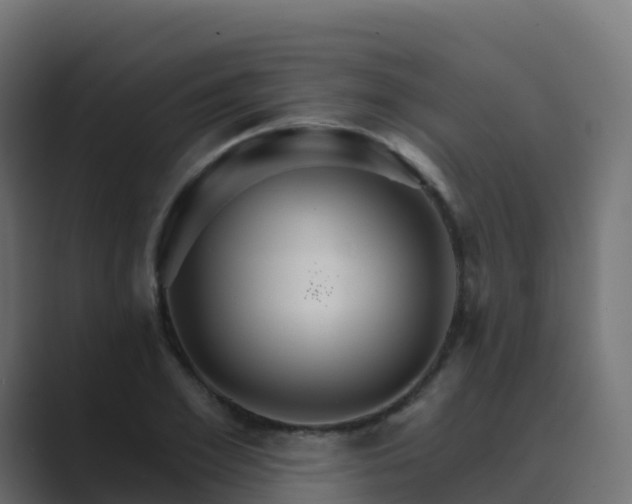 X0000089720981200706281527