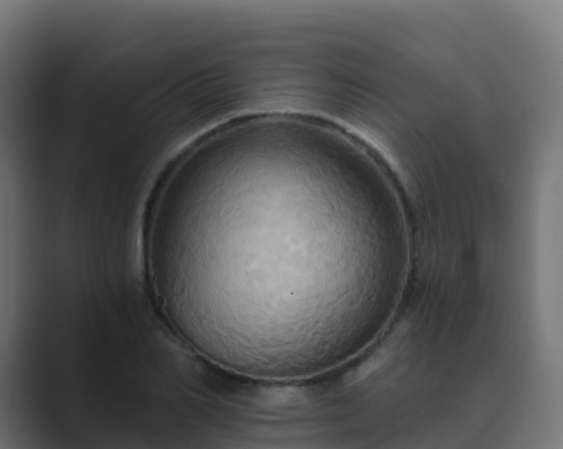X0000089720982200706281527