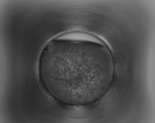 X0000089720983200706281527