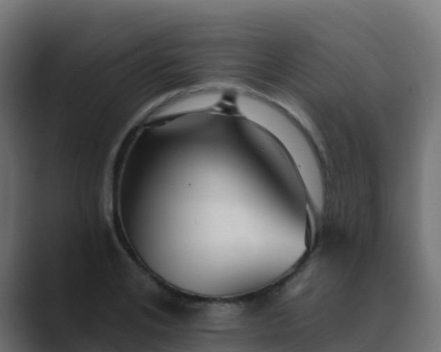 X0000089720984200706281527