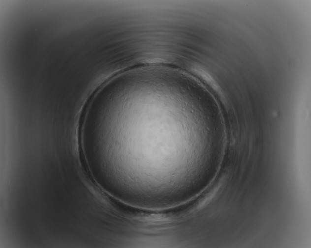X0000089720986200706281527