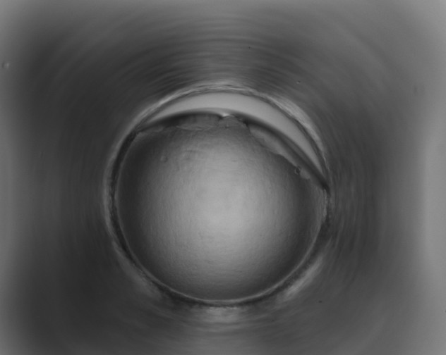 X0000089720989200706281527