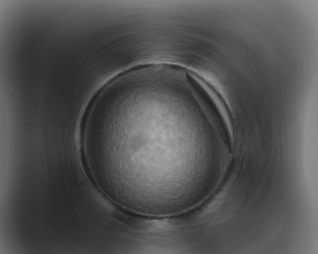 X0000089720990200706281527