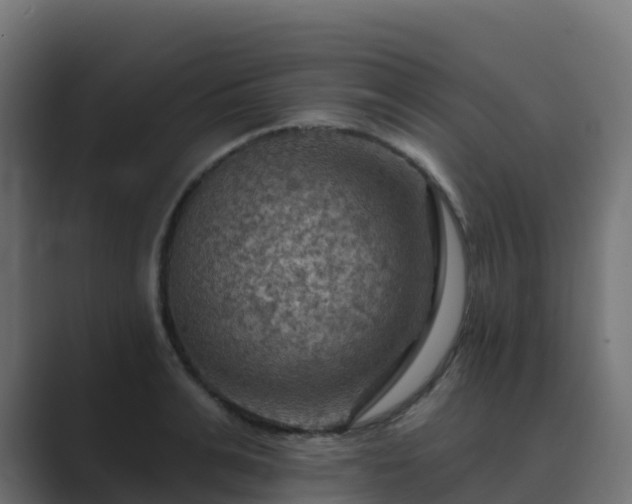X0000089720991200706281527