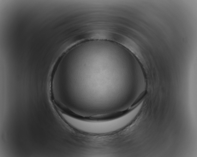 X0000089720992200706281527
