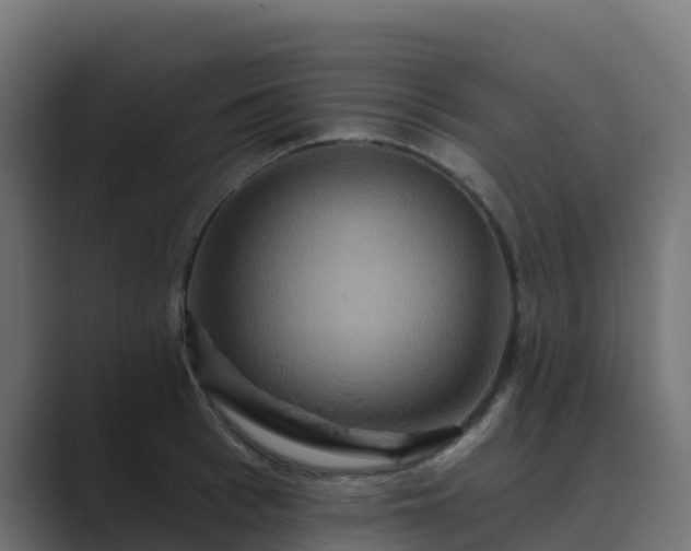 X0000089720993200706281527