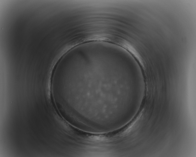 X0000089720994200706281527